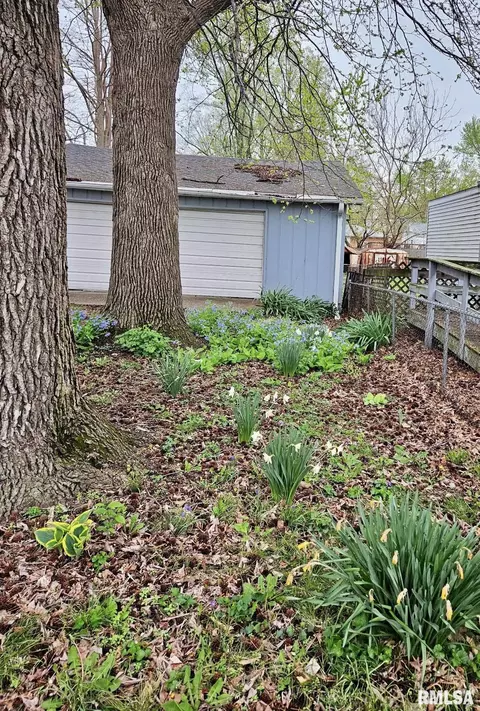 Exterior - 2213 Cincinnati Ave, Springfield, IL 62702 photo 9 of 9