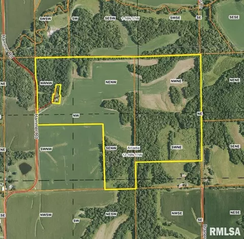 Hammer Road, Concord, IL 62631 photo 15