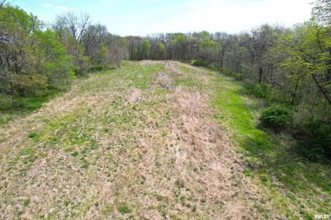 Hammer Road, Concord, IL 62631 photo 10