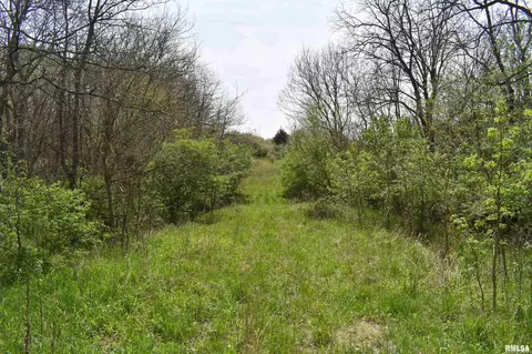 Hammer Road, Concord, IL 62631 photo 11