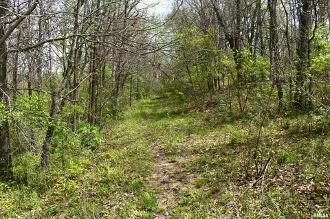 Hammer Road, Concord, IL 62631 photo 12