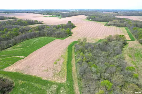 Hammer Road, Concord, IL 62631 photo 7