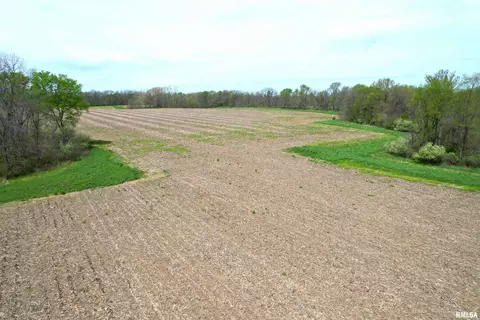 Hammer Road, Concord, IL 62631 photo 3