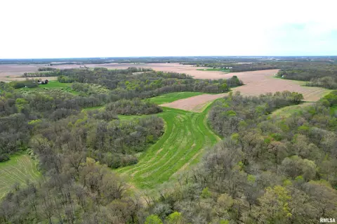Hammer Road, Concord, IL 62631 photo 8