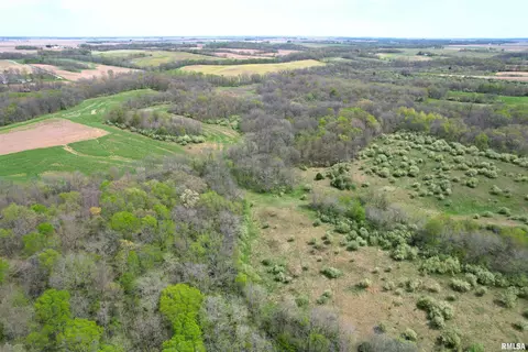 Hammer Road, Concord, IL 62631 photo 9
