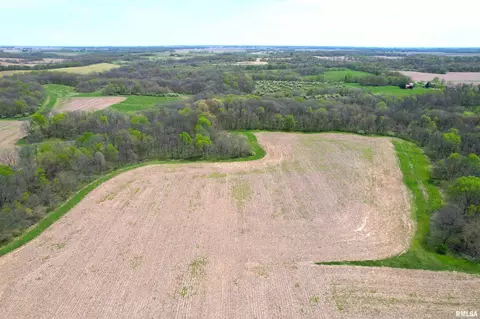 Hammer Road, Concord, IL 62631 photo 2