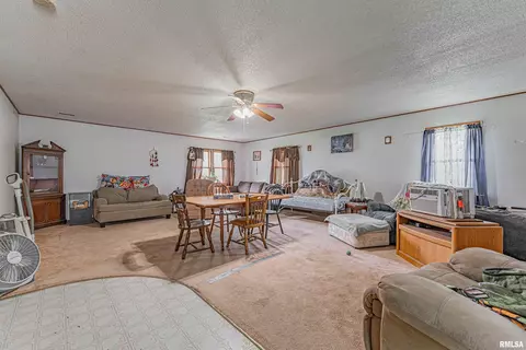 Other - 204 Mulberry St, Lake Fork, IL 62541 photo 3 of 7