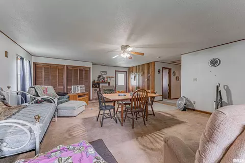 Other - 204 Mulberry St, Lake Fork, IL 62541 photo 4 of 7