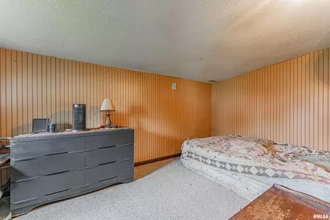 Bedroom - 204 Mulberry St, Lake Fork, IL 62541 photo 3 of 3