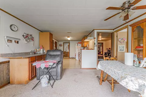 Other - 204 Mulberry St, Lake Fork, IL 62541 photo 1 of 7