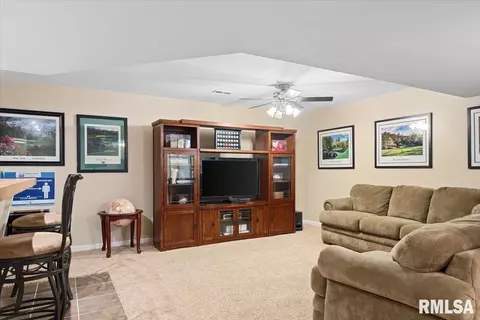 1509 Saltcedar Ct, Springfield, IL 62712 photo 39