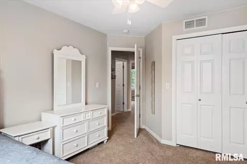 1509 Saltcedar Ct, Springfield, IL 62712 photo 23