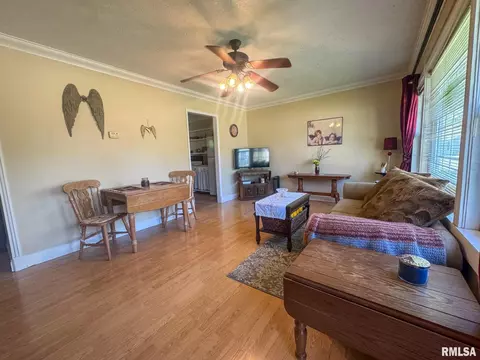 13 Barbara Ct, Springfield, IL 62704 photo 8