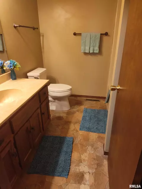 Bath - 1124 Steeplechase Dr, Springfield, IL 62712 photo 1 of 2