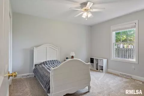 1213 Sugar Tree Ct, Chatham, IL 62629 photo 27