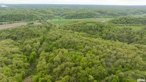 000 Bee Creek Rd, Pearl, IL 62361
