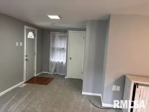 111 Ebony St, Thayer, IL 62689 photo 5