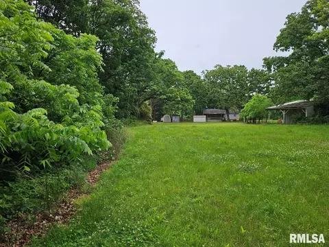 13973 Halliday Rd, Plainview, IL 62685 photo 51