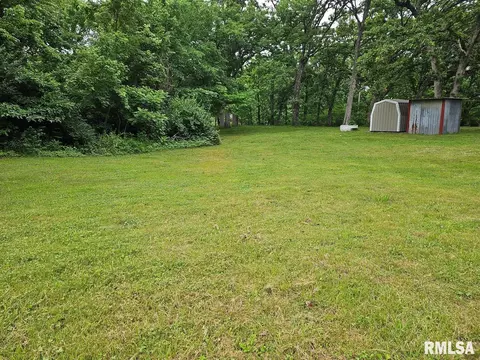 13973 Halliday Rd, Plainview, IL 62685 photo 20