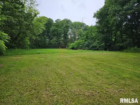 13973 Halliday Rd, Plainview, IL 62685 photo 55