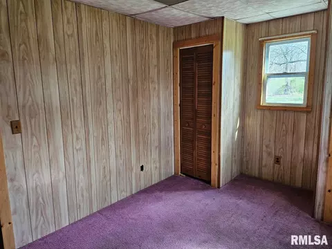 13973 Halliday Rd, Plainview, IL 62685 photo 43