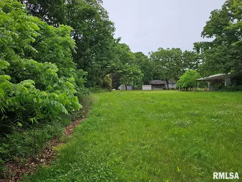 13973 Halliday Rd, Plainview, IL 62685 photo 22