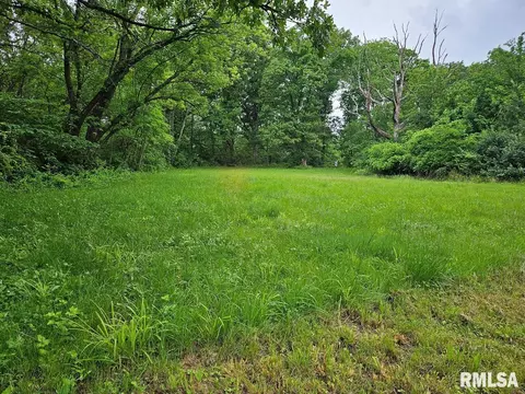 13973 Halliday Rd, Plainview, IL 62685 photo 52