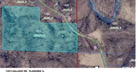 13973 Halliday Rd, Plainview, IL 62685