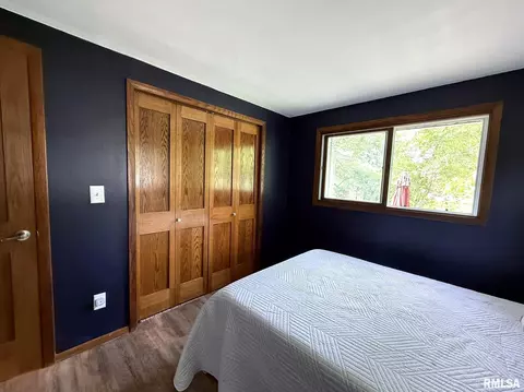 Other - 131 E Willard St, Wataga, IL 61488 photo 11 of 21