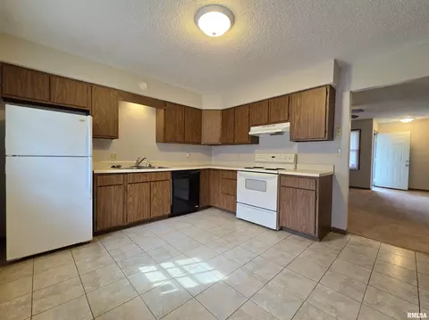 45-47 Holliday Rd, Springfield, IL 62702 photo 4