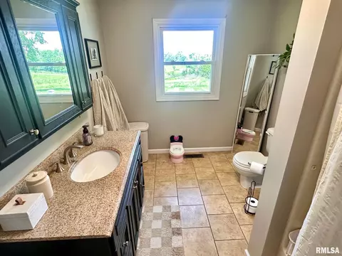 2900 Old State Rd, Alexander, IL 62601 photo 26