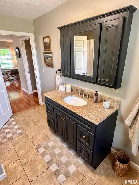 2900 Old State Rd, Alexander, IL 62601 photo 24