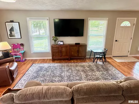 2900 Old State Rd, Alexander, IL 62601 photo 13