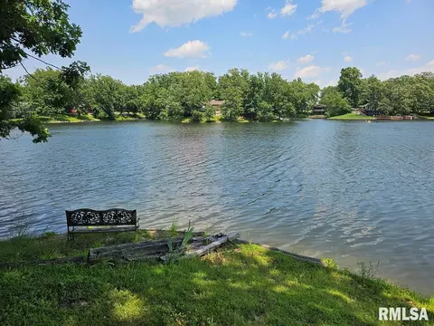 12862 Winnebago Dr, Plainview, IL 62685 photo 2
