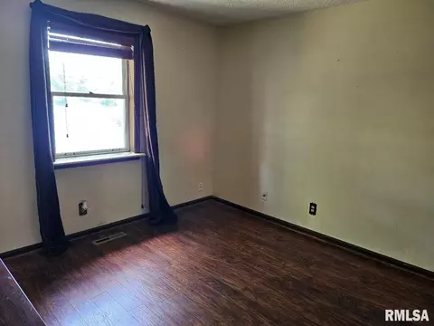 12862 Winnebago Dr, Plainview, IL 62685 photo 40