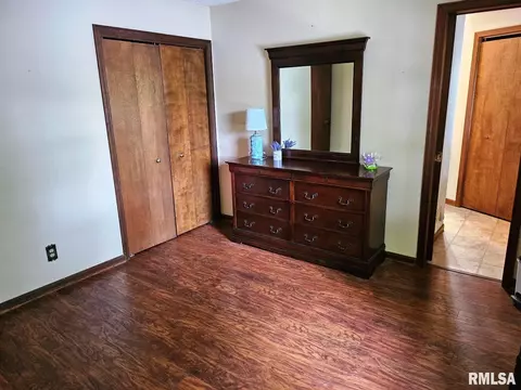 12862 Winnebago Dr, Plainview, IL 62685 photo 39