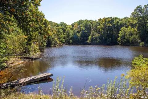 27234 State Highway Z Hwy, Canton, MO 63435 photo 48