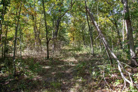 27234 State Highway Z Hwy, Canton, MO 63435 photo 43