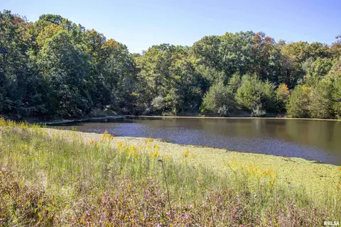 27234 State Highway Z Hwy, Canton, MO 63435 photo 38
