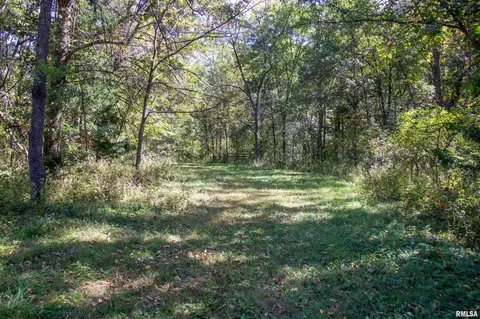 27234 State Highway Z Hwy, Canton, MO 63435 photo 19