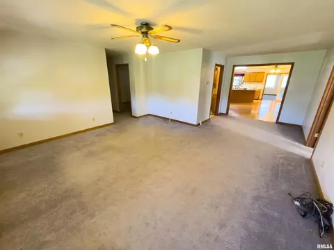 27234 State Highway Z Hwy, Canton, MO 63435 photo 68
