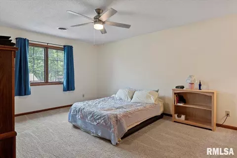 5309 Collins Way, Springfield, IL 62703 photo 17