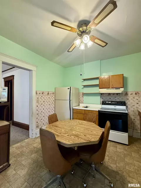 305 N Harshbarger St, Abingdon, IL 61410 photo 12
