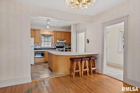 720 S Park Ave, Springfield, IL 62704 photo 13