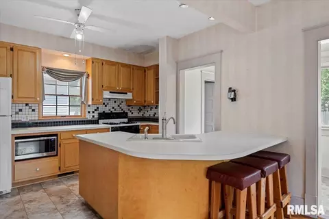 720 S Park Ave, Springfield, IL 62704 photo 17