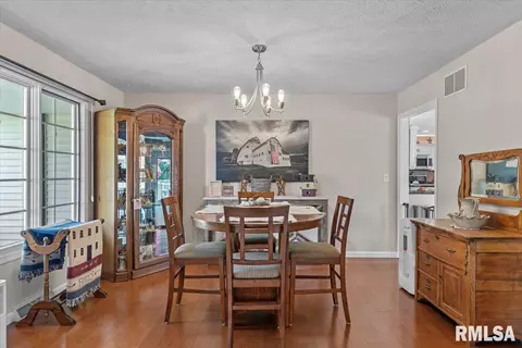 820 E Spruce St, Chatham, IL 62629 photo 24