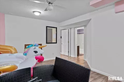 820 E Spruce St, Chatham, IL 62629 photo 43