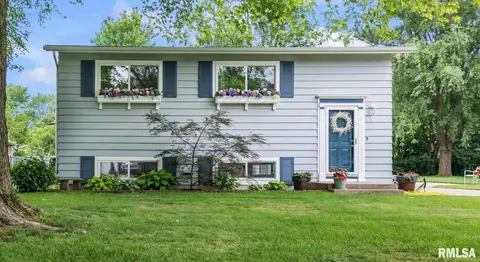 319 Willow Glen Way, Chatham, IL 62629