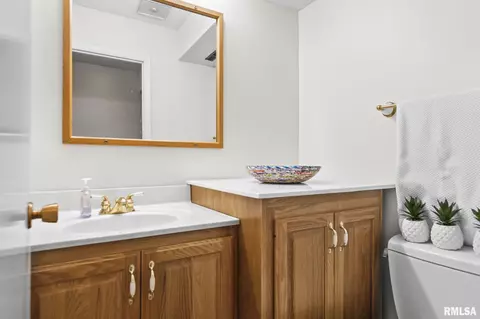 Bath - 40 Trailridge Ln, Springfield, IL 62704 photo 1 of 2