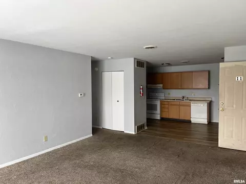 3100 Butler Dr, Springfield, IL 62703 photo 7